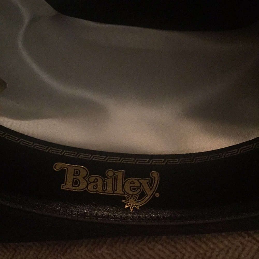 Bailey - Picture 3 of 11